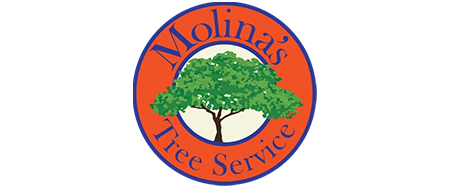 Molina's Tree Service